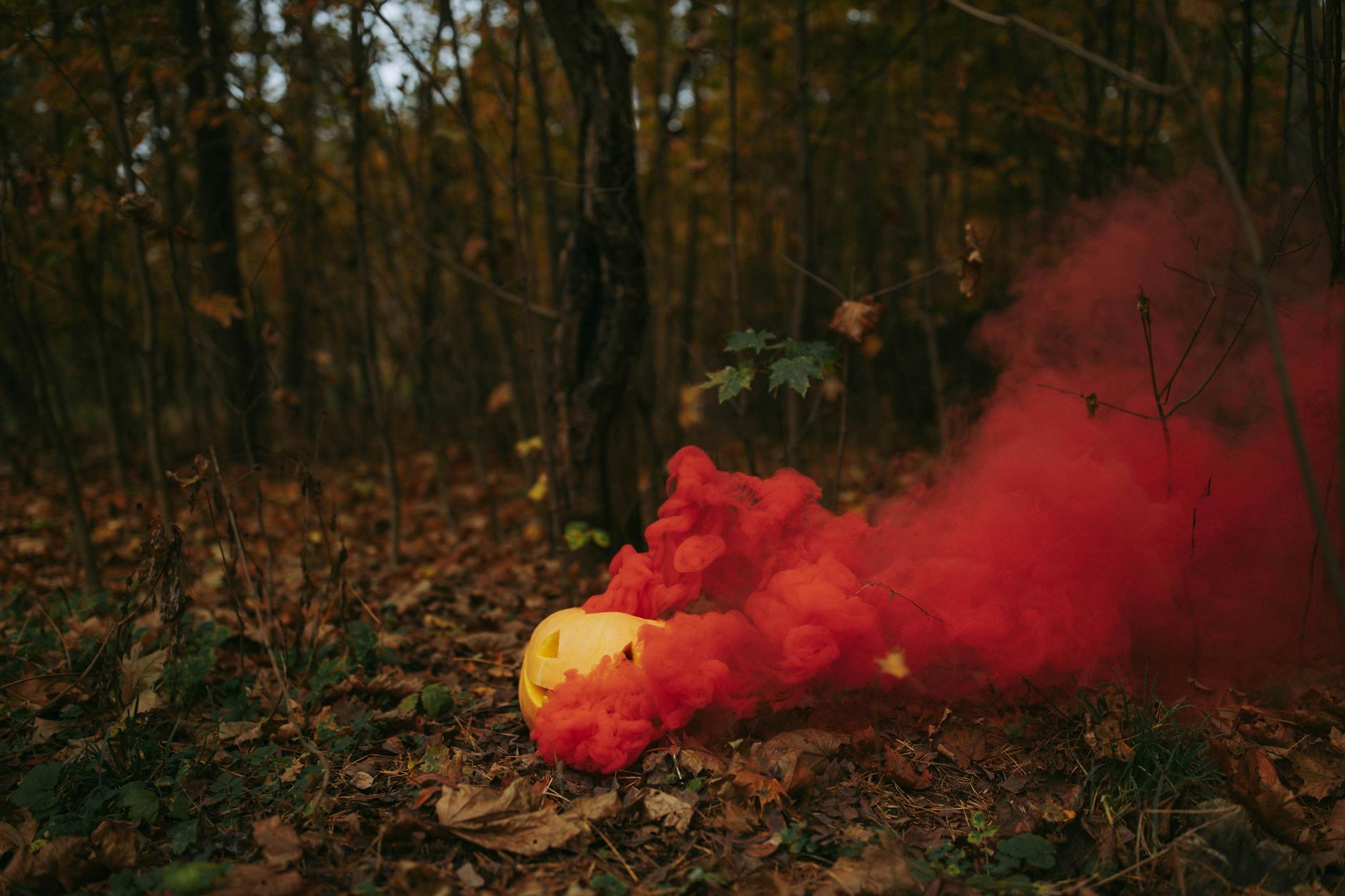 Koncert o rzeczach ważnych w Operze Nova. Młodzi artyści śpiewają o emocjach