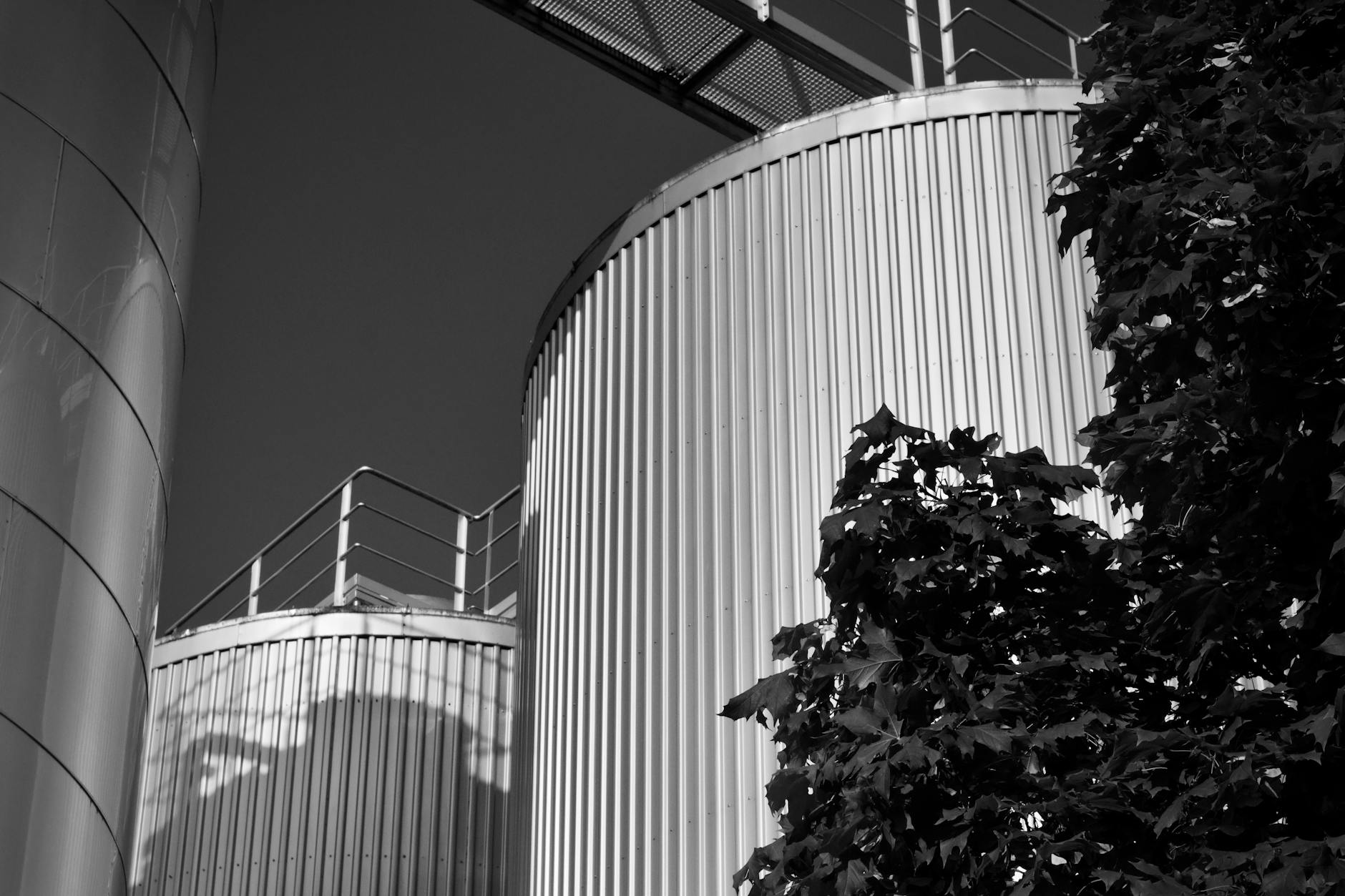 Nowoczesna fabryka w Bydgoszczy - inwestycja światowej marki szansą na pracę i rozwój technologiczny